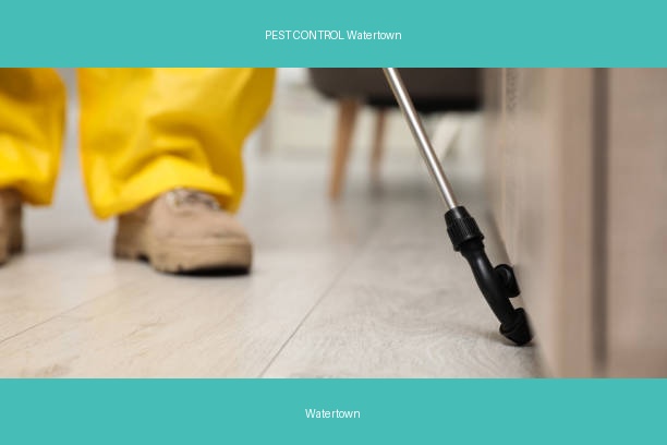 PEST CONTROL Watertown